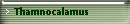 Thamnocalamus