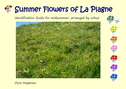 Summer Flowers of La Plagne
