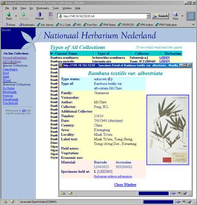 Dutch herbaria database